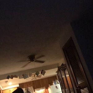 Meet your Posher, Jade